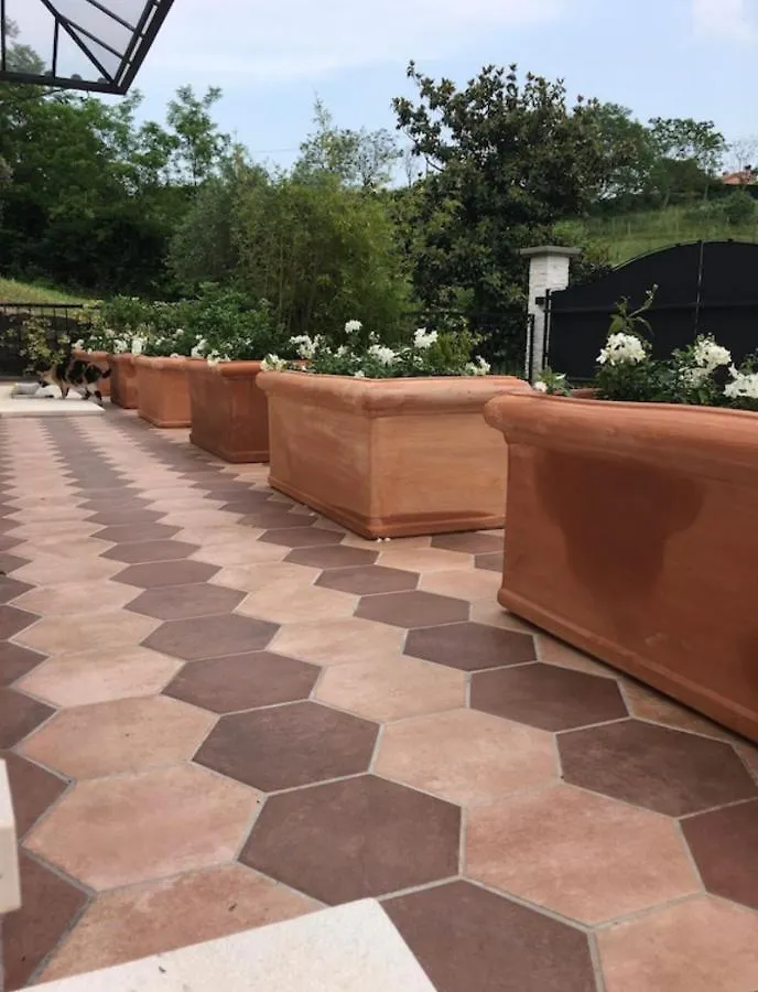 Guest House Festinalente Montegrotto Terme Apartment